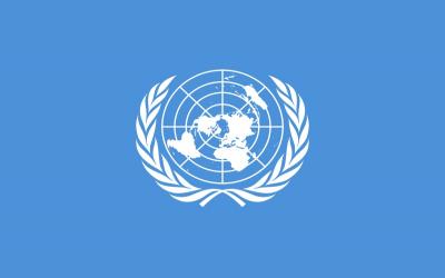 Internationale Dag van de Verenigde Naties