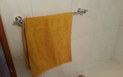 Dag van de Handdoek